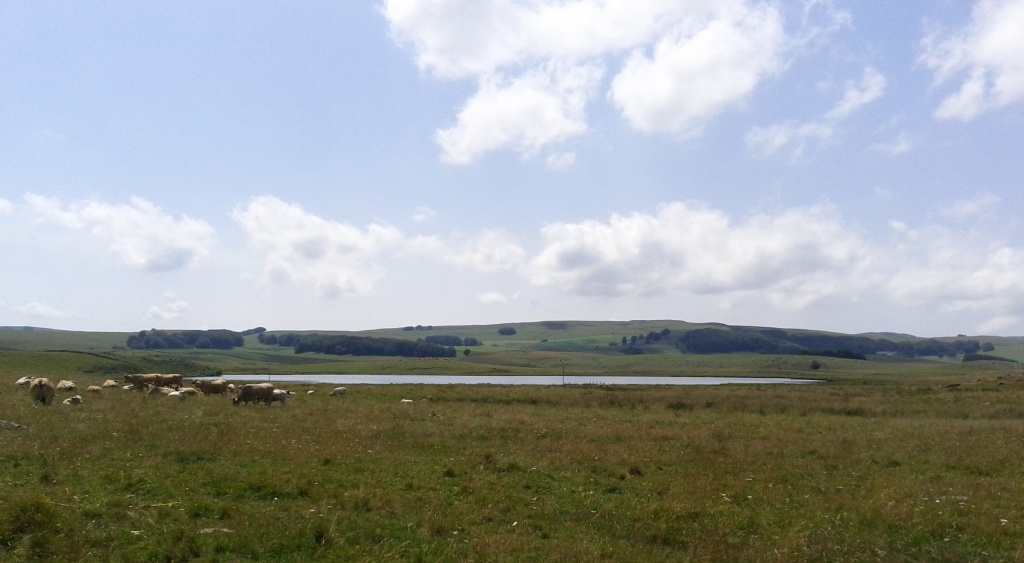 Aubrac, Lac de Born