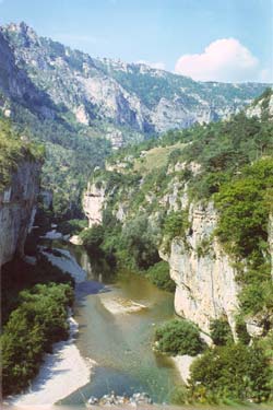 gorges-du-tarn