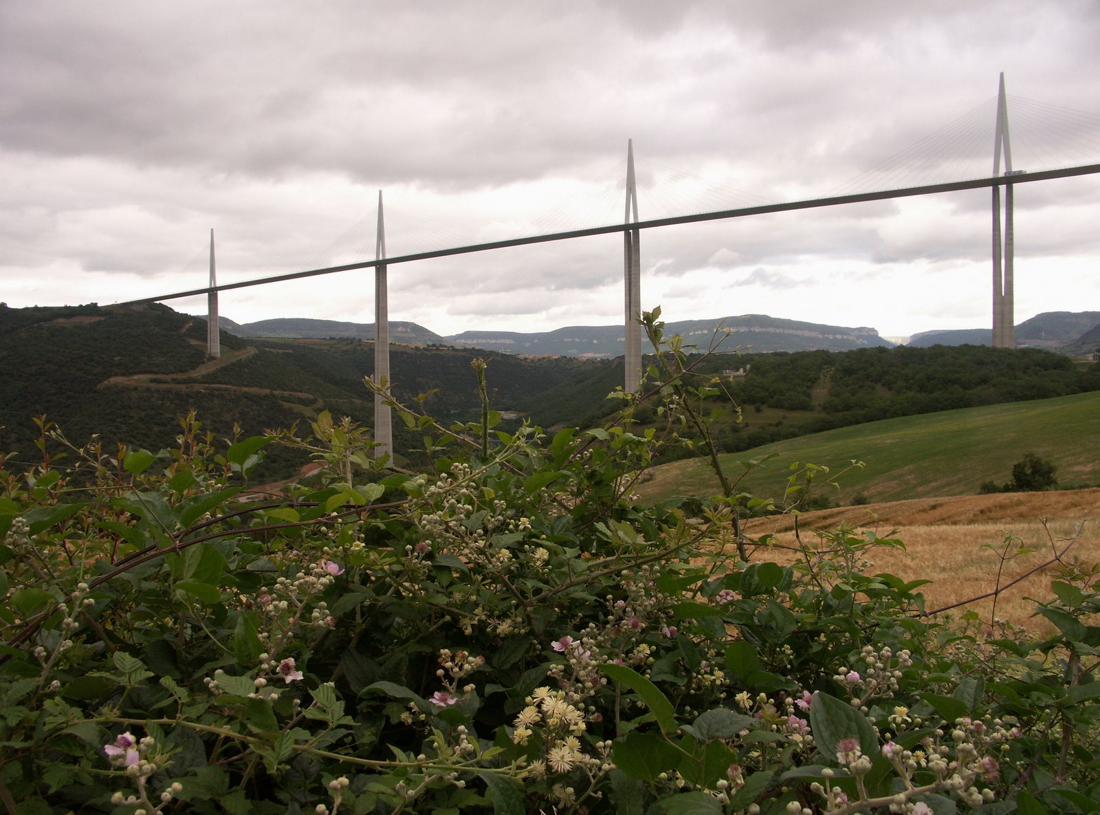 Millau Viaduct